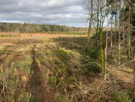 L'eddy * Neufchâteau