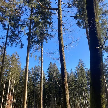 別荘 L'eddy Neufchâteau