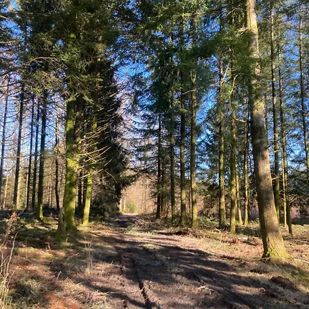 L'eddy * Neufchâteau