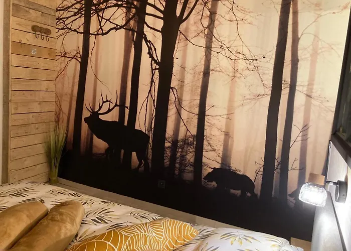 Hébergement de vacances L'eddy Neufchâteau