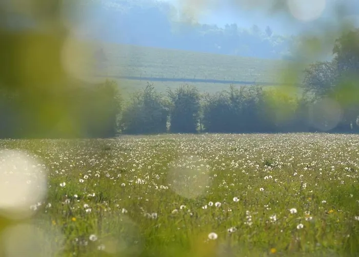 Hébergement de vacances L'eddy