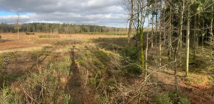 L'eddy * Neufchâteau