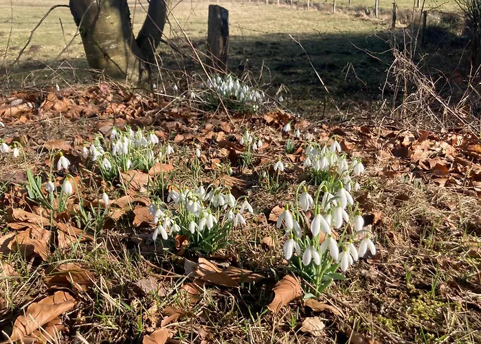 Hébergement de vacances L'eddy Neufchâteau