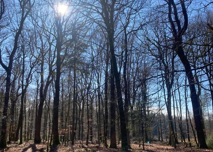 L'eddy * Neufchâteau