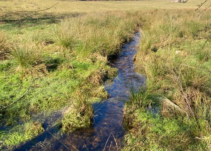 Hébergement de vacances L'eddy *