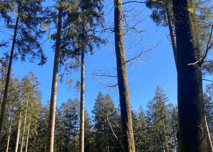 Hébergement de vacances L'eddy Neufchâteau