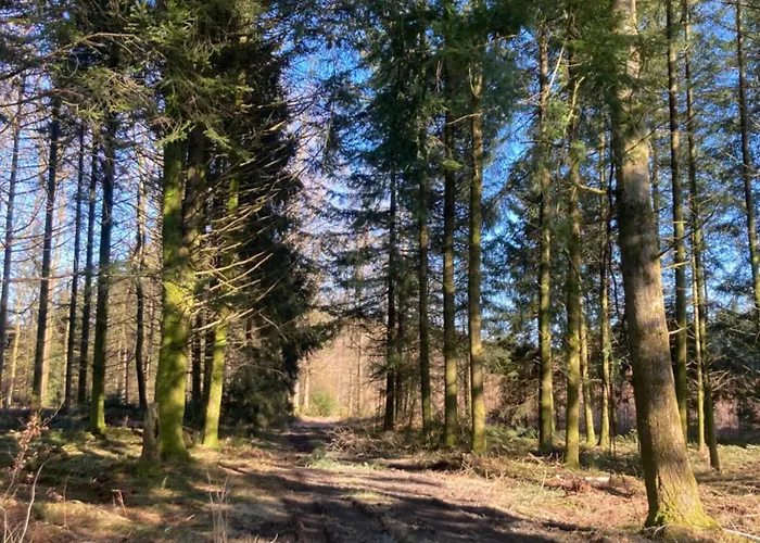 L'eddy * Neufchâteau