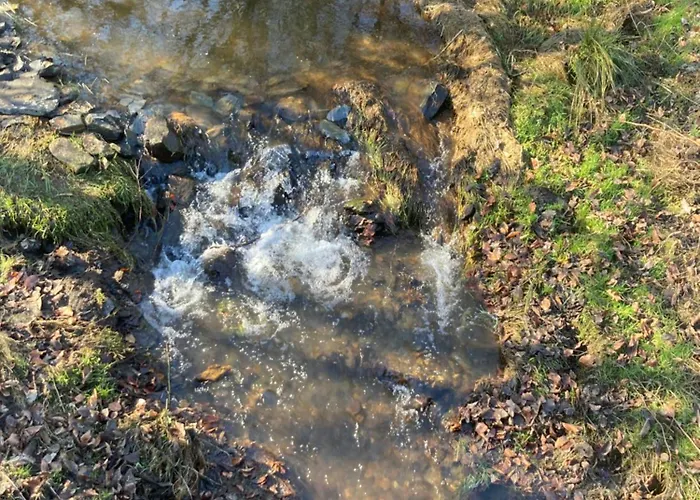 Hébergement de vacances L'eddy